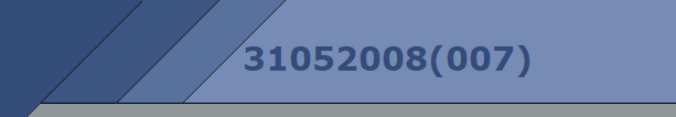31052008(007)